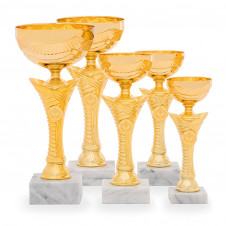 Pohár TROFIX, výška 22 cm, zlatý