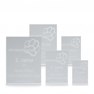 Skleněná plaketa s laserovým gravírováním, 80x125mm