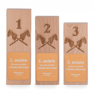 Dřevěná plaketa se zlatým štítem s laserovým gravírováním, 70x180mm