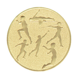 Emblém víceboj, pr. 50 mm, zlato