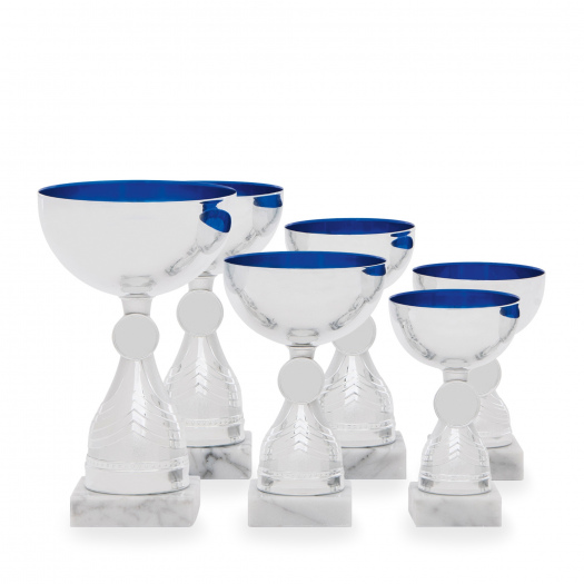 Pohár EKONOM, výška 12 cm, stříbrný/modrý