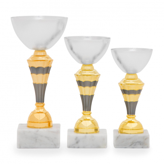 Pohár EKONOM, výška 21 cm, stříbrný/zlatý