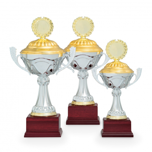 Pohár EKONOM, výška 34 cm, stříbrný/zlatý