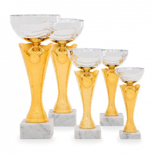 Pohár TROFIX, výška 22 cm, zlatý/stříbrný