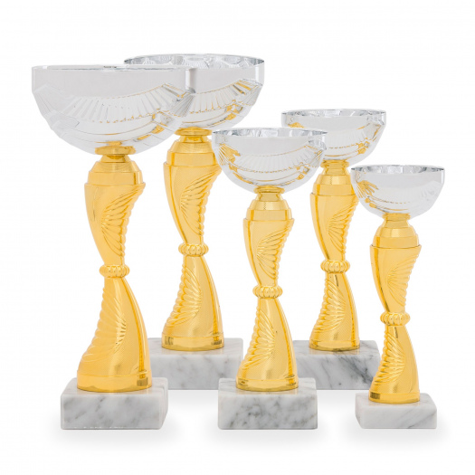 Pohár TROFIX, výška 22 cm, zlatý/stříbrný