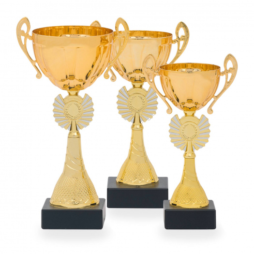 Pohár STANDARD, výška 25 cm, zlatý/stříbrný