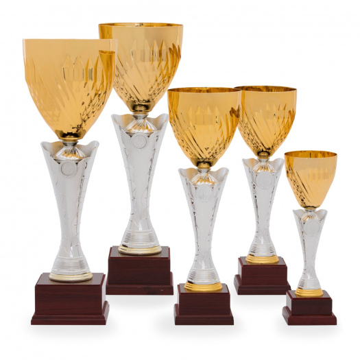 Pohár STANDARD, výška 32 cm, zlatý/stříbrný