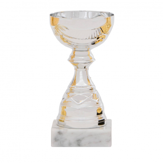 Účastická cena, výška 14 cm, stříbrná