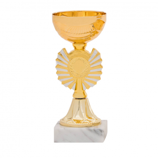 Účastnická cena, výška 16 cm, zlatá/stříbrná